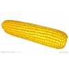 超低价的玉米收购，东湖农牧发展公司专业提供