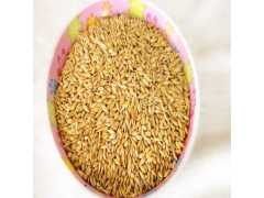 南通港现货供应优质澳洲进口饲料大麦
