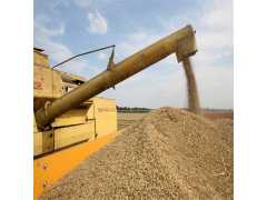 散装加拿大大麦原粮进口代理