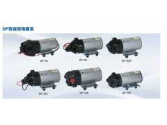 宜菱泵业公司专业的DP系列微型隔膜泵出售