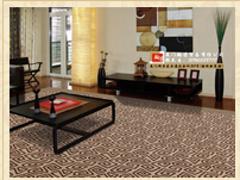 专业的厦门地毯——价位合理的厦门地毯推荐