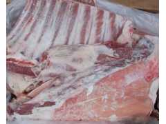 冷冻食品代理加盟_哪里能买到实惠的猪肉