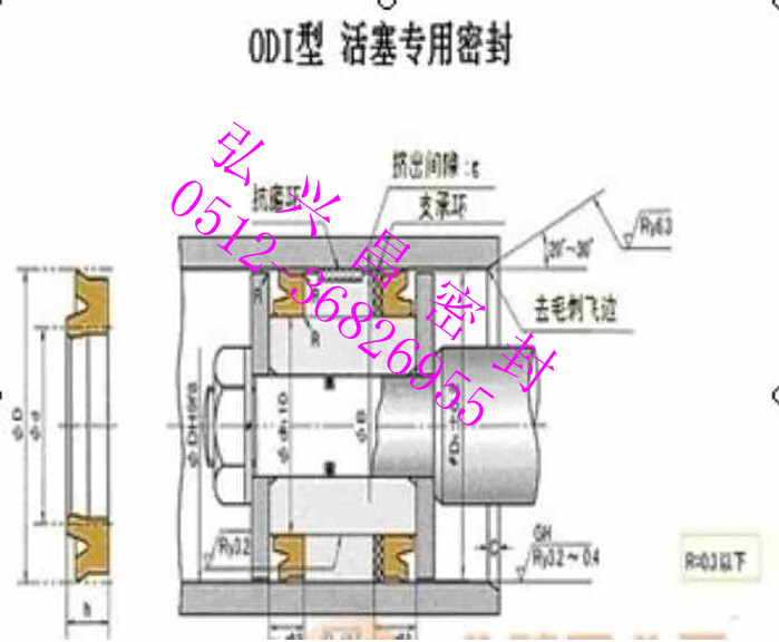 日本NOK密封件ODI活塞专用