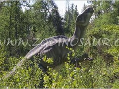有品质的仿真恐龙制作由侏罗纪仿真制作提供：仿真恐龙制作价格超低