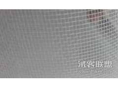 窗纱.防虫网.防蚊网.尼龙丝网.塑料丝网图2