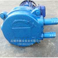 水泵厂家优质供应 SZG-8水环式真空泵