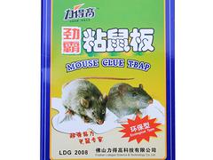 郑州优质的灭老鼠药批发：粘鼠板供应商