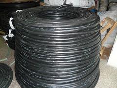 价位合理的专业电缆|高质量的天正电缆天正电气供应