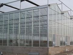 玻璃温室大棚建设 玻璃温室大棚建造哪家技术好