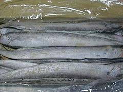实惠的带鱼供应尽在新发市场东海渔行，出售带鱼