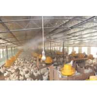 喷雾设备养殖降温|养殖场降温喷头|养鸡高压喷雾系统