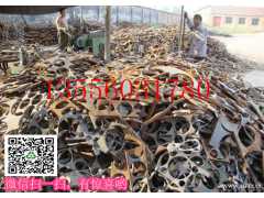 广州废铁回收公司 广州大型铁场 专业收购废铁废旧机械冲花料等