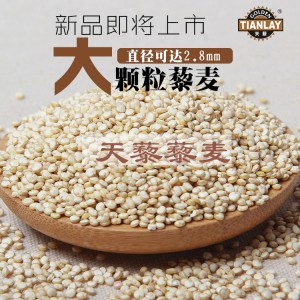 藜麦的营养价值天藜五钻大颗粒藜麦