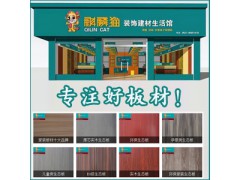 中国生态板十大品牌—麒麟猫图1