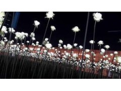 LED玫瑰花海广场花韩国工厂音乐花海 LED玫瑰花灯