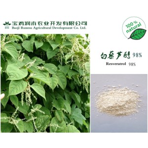 白藜芦醇98％  CAS号：501-36-0