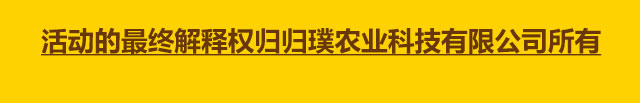 五一假期，我去登官村看猪跑跑趣味运动会