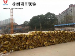 广东鼎新高新科技股份有限公司株洲工地风景欣赏