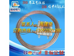 天津水泥耐磨行业用mi高温加热电缆