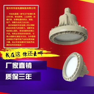四川成都20W 30WLED防爆灯具 隔爆型防水防爆LED灯