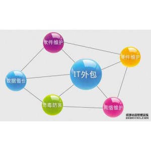 河北爱民网络IT服务项目