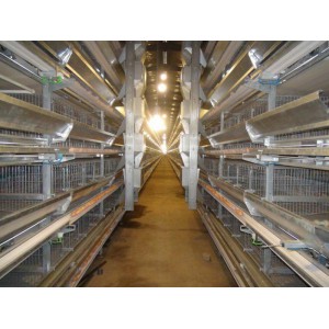 鸡笼价格丨镀锌笼具丨养殖笼丨河南银星养鸡设备