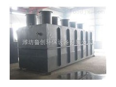 山东潍坊大姜生产污水处理地埋一体化处理设备