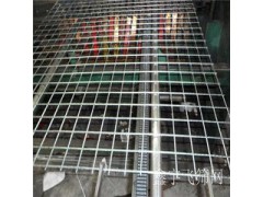 厂家直销 电焊网电焊网片 养殖网网围栏养猪网鸟笼网片栏鸡网
