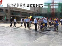 广东鼎新高新科技股份有限公司株洲办事处13873324670