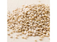 基地批发青海纯正白藜麦 进口品质健康杂粮烘焙蛋白胚芽黎麦米