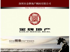 深圳房地产前期拿地开发策划专家金牌地产顾问咨询公司
