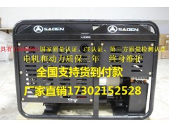 萨登SADEN250A汽油发电电焊机科勒动力图1