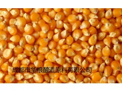 求购糯米高粱玉米大米碎米小麦淀粉豆类等原料图1