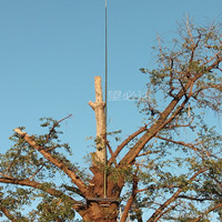 西安望必达定制玻璃钢古树避雷针5-25米重量轻强度高抗腐蚀