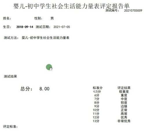 S-M量表婴儿-初中学生社会生活能力量表软件工具图3