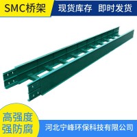 SMC电缆桥架 SMC梯式电缆桥架 河北宁峰